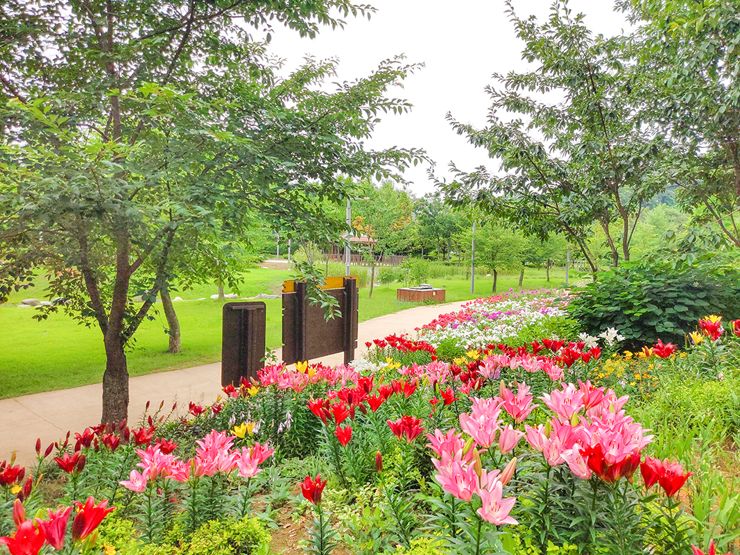 김포-금쌀공원 (2020-07)